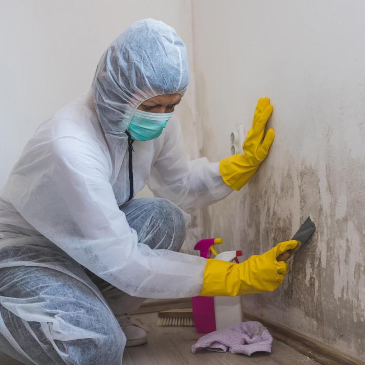 Mold Inspection Services Miami